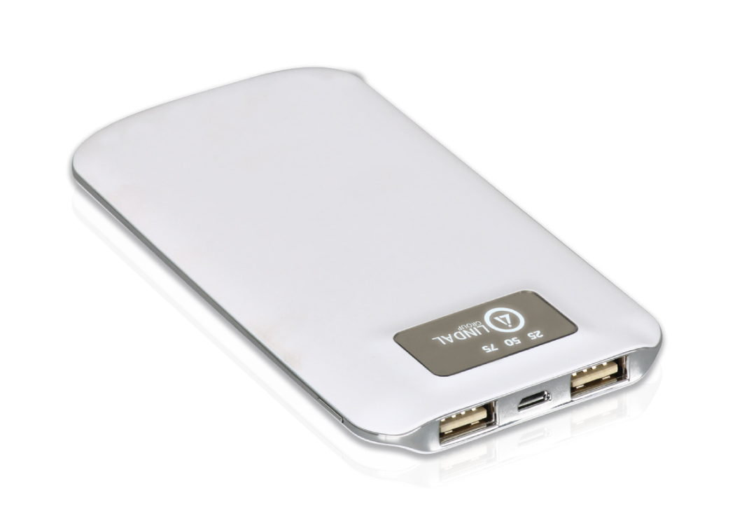 Powerbank