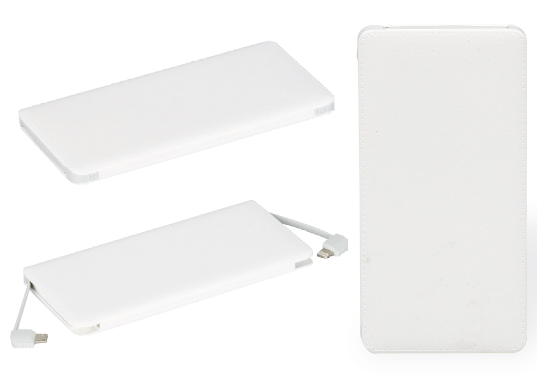 Powerbank